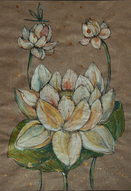 Лотосы. Возрождение.