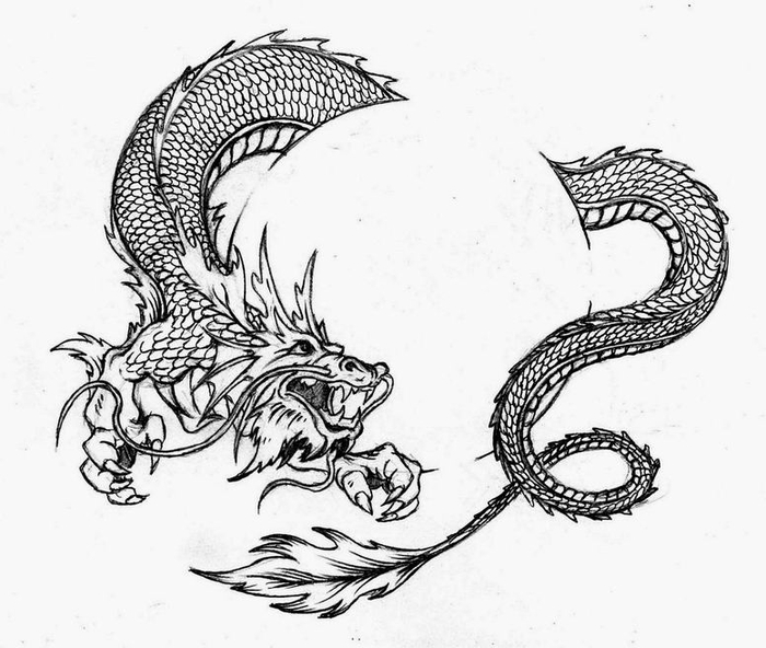 Дракон. Эскиз