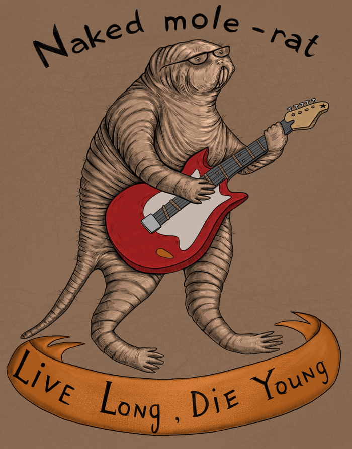 Все умрут, а голый землекоп останется