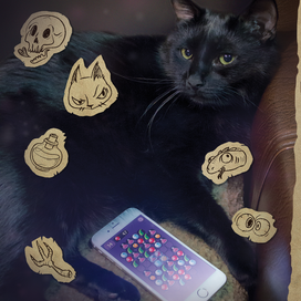 Кот рекламирует игру:) 