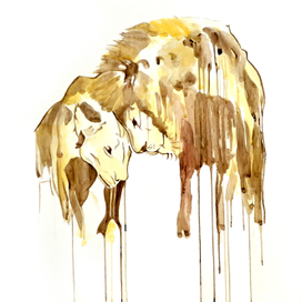 Lions are a symbol of the family of love and fidelity🌟