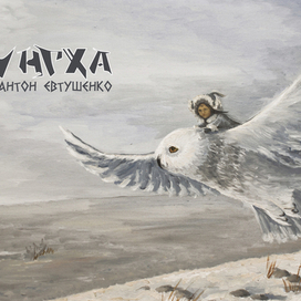 Полёт над тундрой