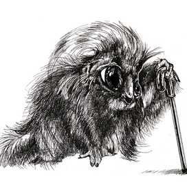 Старый, усталый...