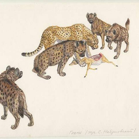 энциклопедия