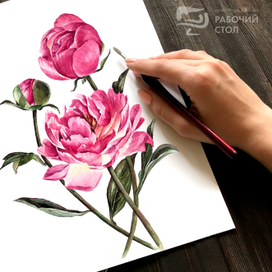 Пионы для свадебного приглашения