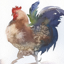 "Яркая курочка"