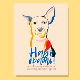 Постер для приюта