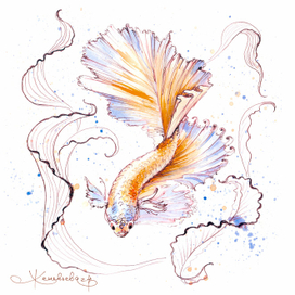 Волшебная рыбка