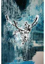 Русский север