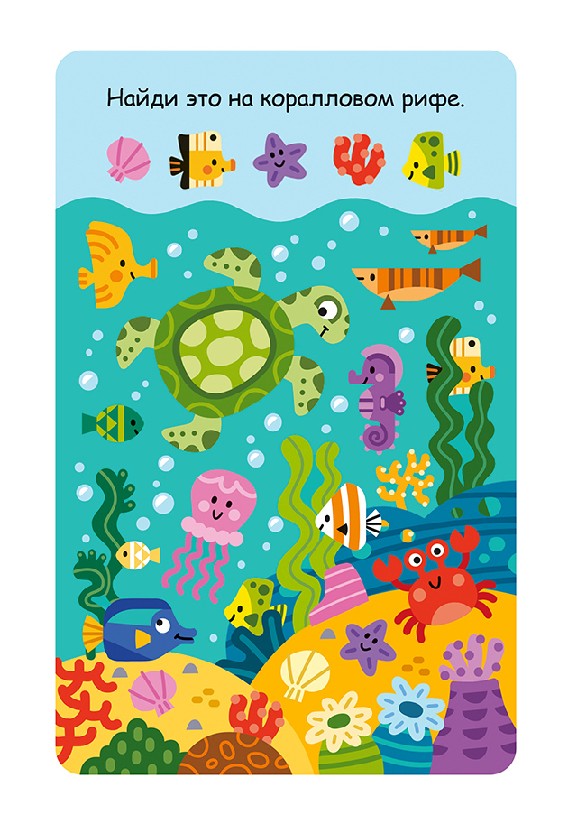 Подводный мир коралловый риф найди и покажи 