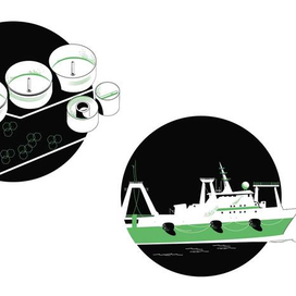 Иллюстрации для сайта "Мастер Фиш"