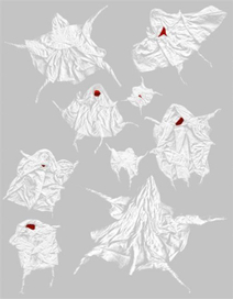 &quot;страсти-мордасти&quot;