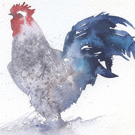 "Снежный петух"