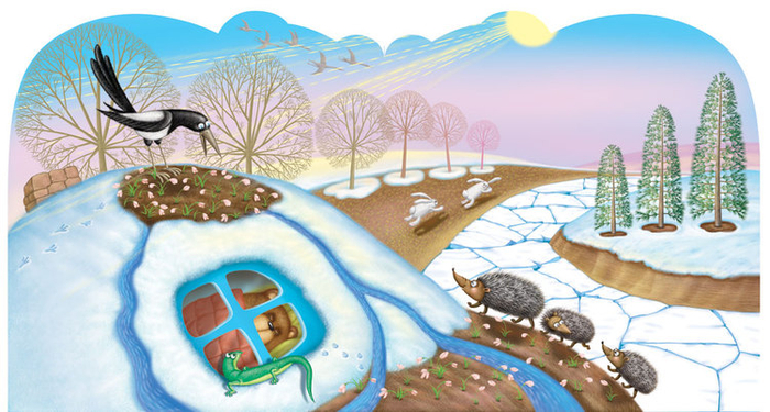 Как медведя будили