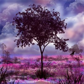 осенний пейзаж