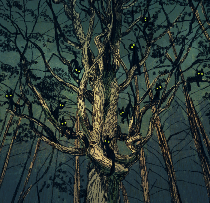 Кошачья ночь