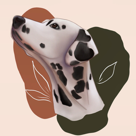 Dalmatian