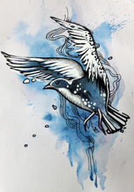 Эскиз тату"чайка"