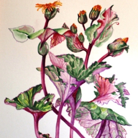 Ботаническая акварель - 3