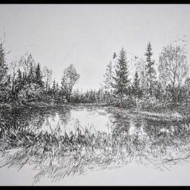 Лесной мирок