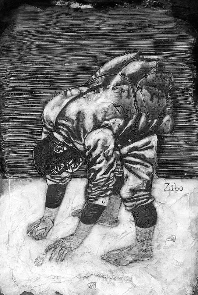 Ракушки Зибо