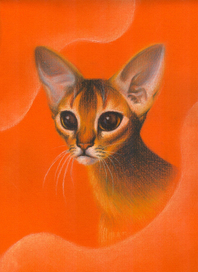 Абиссиночка