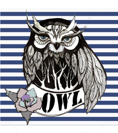 owl