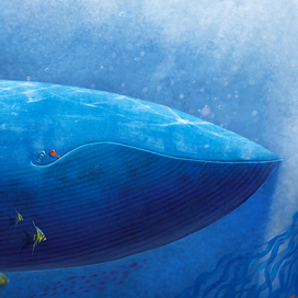 Юля отправляется в поход. Кит