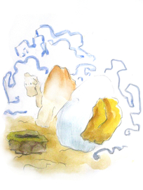 как у верблюда появился горб