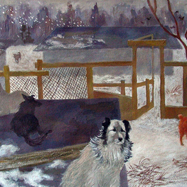 Жизнь в приюте