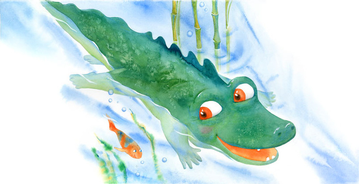 к "Кенгуренку Бамси"