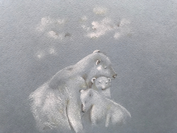 Белые медведи