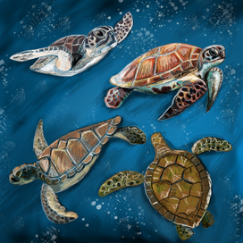 скейтчи черепашки