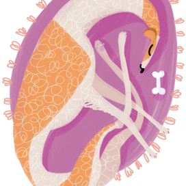 Спящая русская борзая