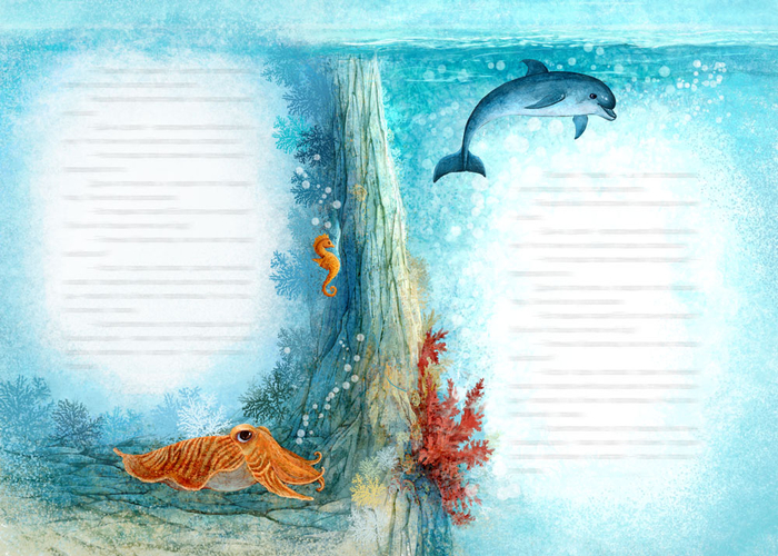 Китенок. Разворот