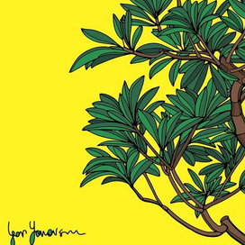 желтый день