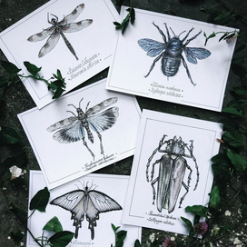 Исчезающие насекомые России