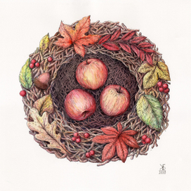 Гнездо. Осеннее