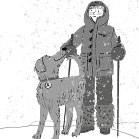 "На Южный полюс"