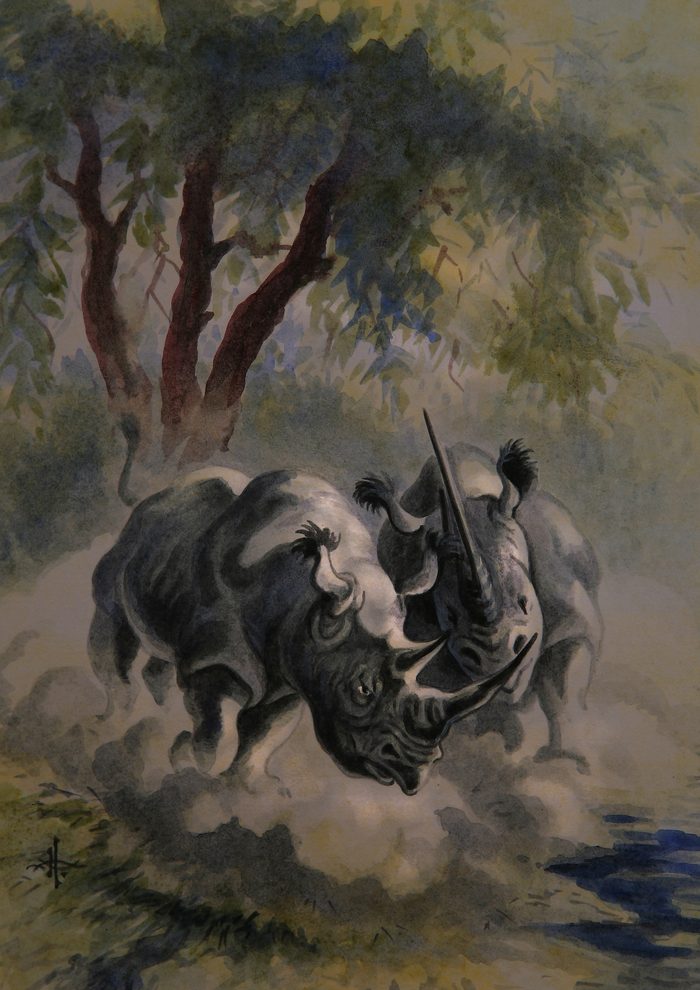 Белый носорог...