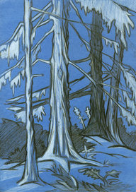 Лунный свет