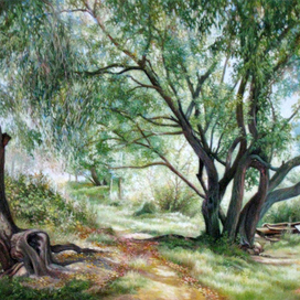 В тени серебристых ив