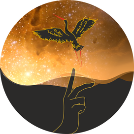 Мы из космоса