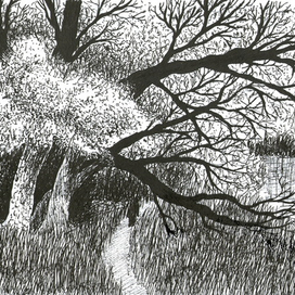 прогулка у реки