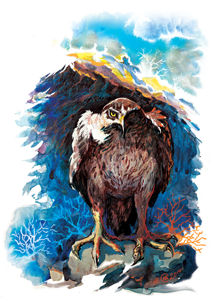 по ТУ сторону 