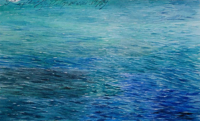 ПОВЕРХНОСТЬ 739