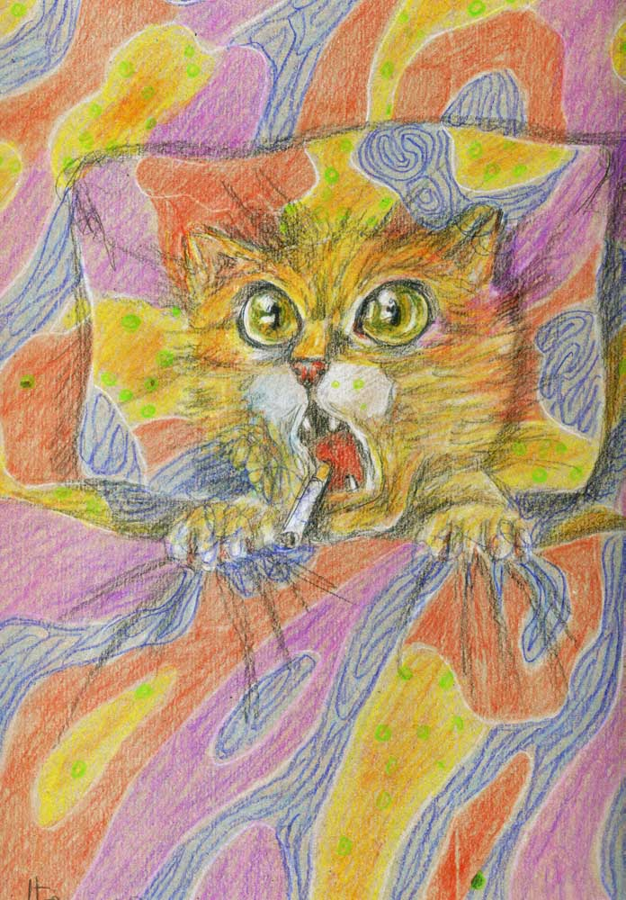 Продолжение сказки про Кота