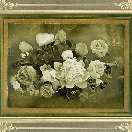 Пионы, розы и ирисы