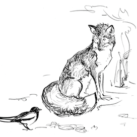 лисица и сорока