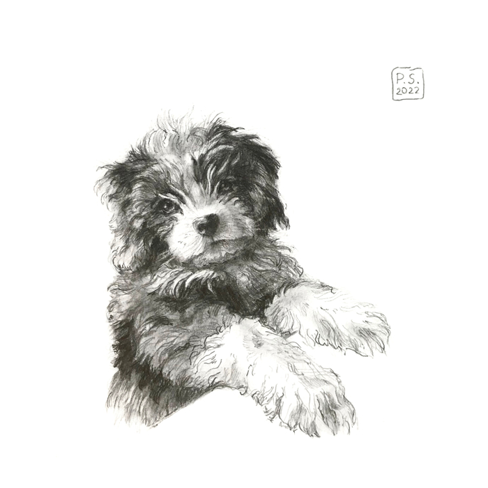 Миниатюра 🐕‍🦺